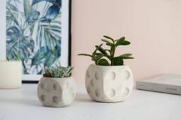 Dice Shaped Concrete Planter Handmade Home Decor