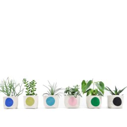 Pink Dot Fabric Planter, Medium 4 - thumbnail 2