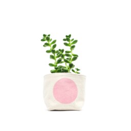 Pink Dot Fabric Planter, Medium 4 - thumbnail 1