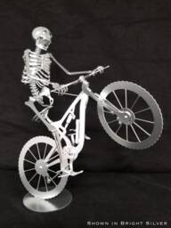 Mountain Biker