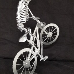 Mountain Biker - thumbnail 4