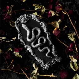 Ornate Snake in Coffin Wall Art/Handmade Gothic Home Decor Dark Academia Hanging Goth Gallery Oddity Silver Or Gold - thumbnail 3