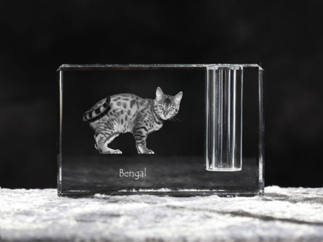 Bengal , Crystal Pen Holder With Cat, Souvenir, Decoration, Limited Edition, Collection - image 1