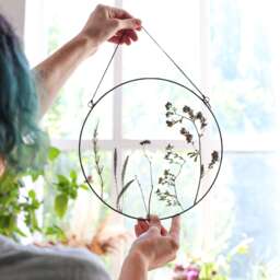 Pressed Summer Wildflower Wall Hanging, Foral Botanical Art, Framed Dried Plants Decor, Stained Glass Floating Frame - thumbnail 1