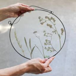 Pressed Summer Wildflower Wall Hanging, Foral Botanical Art, Framed Dried Plants Decor, Stained Glass Floating Frame - thumbnail 2