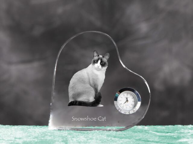 Snowshoe Cat - Crystal Clock in The Shape Of A Heart With Image Pure-Bred Cat - image 1