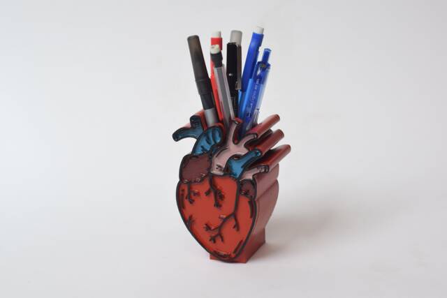 Anatomical Human Heart Pen Holder, Heart Decor, Doctor, Medical, Science, Medical Pen Anatomy, Hand Painted - image 1