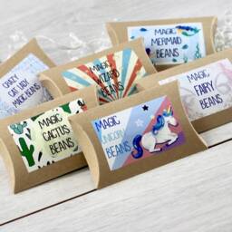 Magic Cactus Bean Grow Set - thumbnail 4
