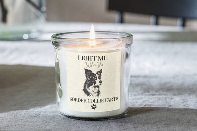Border Collie Farts Candle, Dog Gifts, Funny Gift For Owners, Scented Jar Candles, Mum Dad, Mothers Day, Novelty, Present - image 1