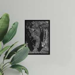 Vintage Leopard Panther Print, Luxury Fashion, Fine Art Photography Wall Art, Museum Quality Classic Animal Black & White Poster - thumbnail 3