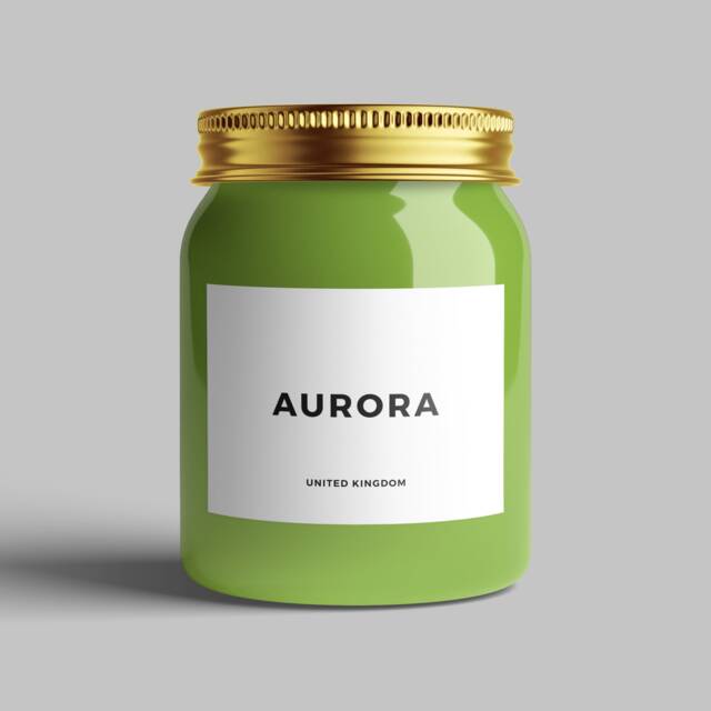 Fresh Cut Grass - Vegan, Triple Scented, Luxury Handmade Candle, 70 Hour Burn Time, 460 Grams - image 1