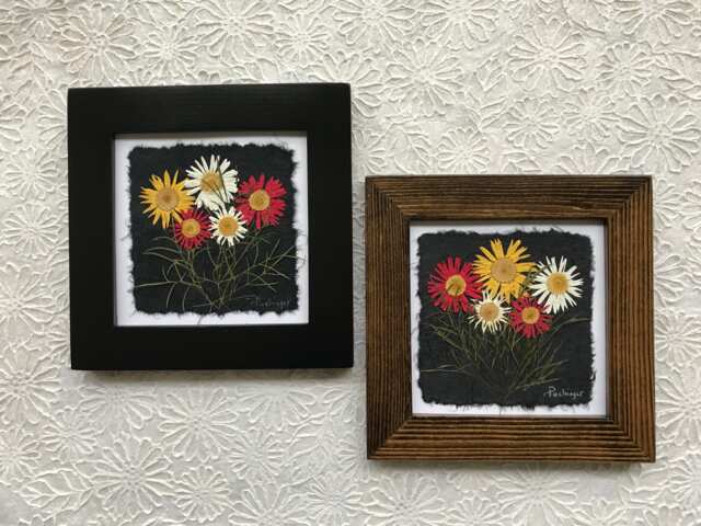 Signed Pressed Daisy Framed Art Real Flower Wall Decor, Handmade in Canada - image 1