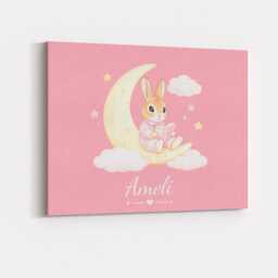 Personalised Pink Bunny Canvas Wall Art Custom Name Colour Cute Cuddly Rabbit Teddy Bear Nursery Baby Shower Bedroom Keepsake Decor Gift UK