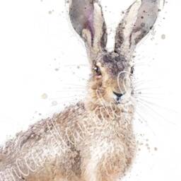 Hare Print, Animal Prints, Rabbit Painting, Watercolour Hare, Gifts, Wall Art, Country Home Decor, British Wildlife - thumbnail 3