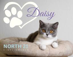 Pet Wall Decal - Dog Name Decor Decals For Pets For Gift Dogs Cats - thumbnail 1