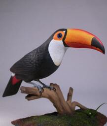 10 Inches Toco Toucan Wood Carving Bird - thumbnail 2