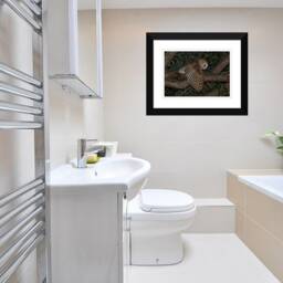 Barn Owl Photo, Wall Decor, Nature Photos, Wildlife Instant Digital Download - thumbnail 4