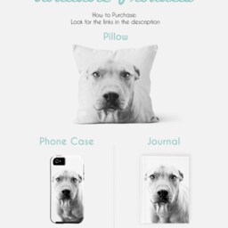 Pitbull Pillow Dog - Gift Throw Lover Home Decor Animal Case Art - thumbnail 3