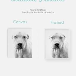 Pitbull Pillow Dog - Gift Throw Lover Home Decor Animal Case Art - thumbnail 2