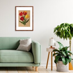 Antique Botanical Art Print Poster Vintage Wall Flowers Floral Tulips Red Nature Leaf Plant Illustration Victorian Herbs Beautiful A3 - thumbnail 3