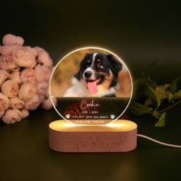 Personalized Pet Photo Led Memorial Light - Dog Cat Loss Sympathy Gift - thumbnail 1