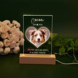 Personalized Pet Photo Led Memorial Light - Dog Cat Loss Sympathy Gift - thumbnail 2