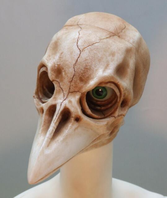 West Nile Christopher Bjd Resin Head - image 1