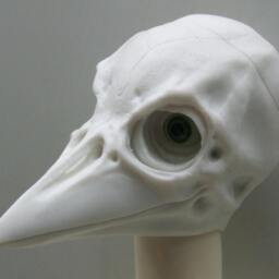 West Nile Christopher Bjd Resin Head - thumbnail 2