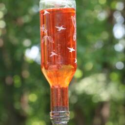 New Etched Hummingbirds Recycled 187 Ml Wine Bottle Hummingbird Or Bird Feeder - thumbnail 3