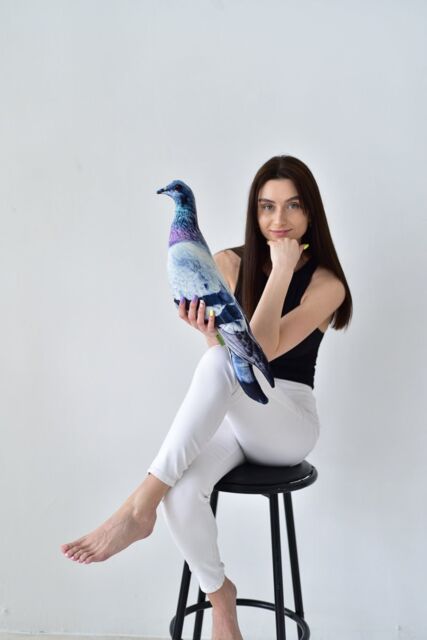 Ddp By Seller Pigeon Plush Pillow For New Home Decor, Dove Pillow Pigeon Stuffed Animal Bird Elvet Plushie Kids Room - image 1