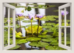 Water Lilies Wall Decal, Sticker, Nature 3D Window Flowers Frame Home Decor Sticker
