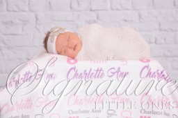 Personalized Baby Blanket, Monogrammed Name Swaddle Receiving Shower Gift, Birth Announcement Blanket