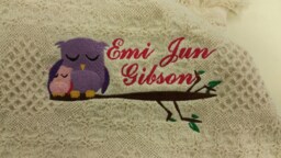 Sweet Owl Embroidered Afghan With Name, Momma & Baby Afghan, New Gift, Shower Personalized Throw - thumbnail 1