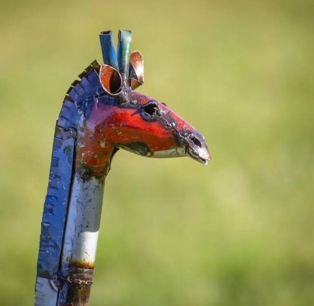 Recycled Metal Coloured Giraffe. Garden Outdoor Sculptures. Statue - image 1