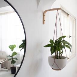 Wooden Plant Hook, Wall Hook For Hanging Plants, Hanger, Indoor, Plant, Plants Hanger - thumbnail 3