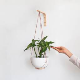 Wooden Plant Hook, Wall Hook For Hanging Plants, Hanger, Indoor, Plant, Plants Hanger - thumbnail 1