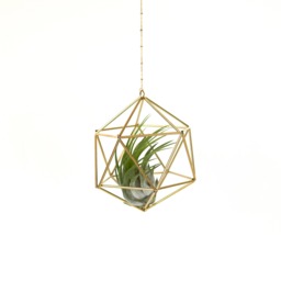 Air Plant Holder, Himmeli Icosahedron 01, Modern Hanging Planter, Hanger, Air Geometric Home Decor Gift - thumbnail 1