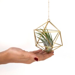 Air Plant Holder, Himmeli Icosahedron 01, Modern Hanging Planter, Hanger, Air Geometric Home Decor Gift - thumbnail 3
