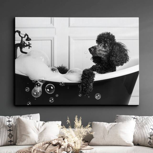 Poodle in The Bathtub Dog Pet Abstract Modern Black & White Wall Art Framed Canvas Poster Print, Home Kitchen Office Decor - image 1