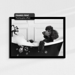 Poodle in The Bathtub Dog Pet Abstract Modern Black & White Wall Art Framed Canvas Poster Print, Home Kitchen Office Decor - thumbnail 2