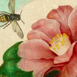 Bee, Insect, Honeybee, Bumblebee, Botanical, Flower, Garden, Natural History, Vintage, Antique, Wall Hanging, Banner - thumbnail 2