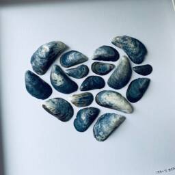 Mussel Shell Heart Picture - Framed Wall Art Handmade in Cornwall - thumbnail 3