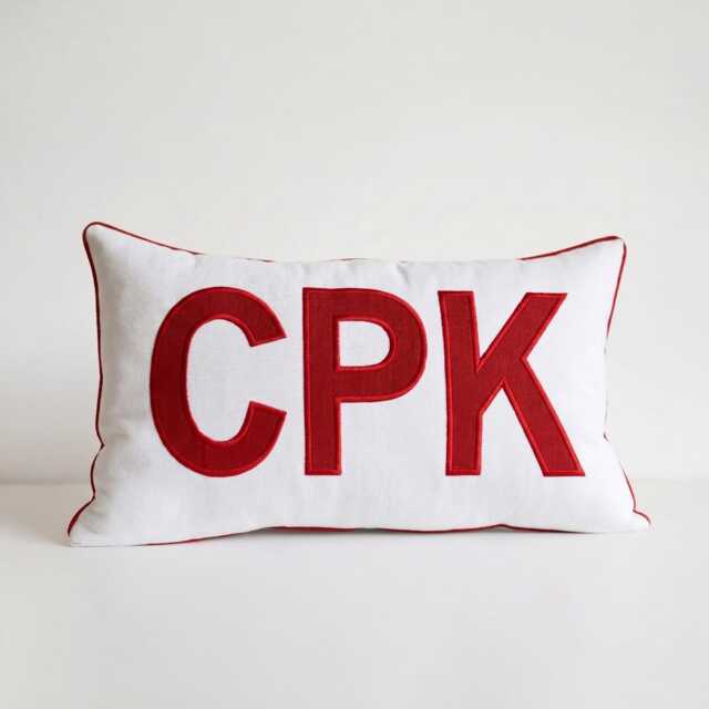 Custom Embroidered Monogram Pillow Cover - Personalized Appliqu?? Cotton Canvas Cushion College Dorm Decor Back To School Gift - image 1