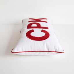 Custom Embroidered Monogram Pillow Cover - Personalized Appliqu?? Cotton Canvas Cushion College Dorm Decor Back To School Gift - thumbnail 3