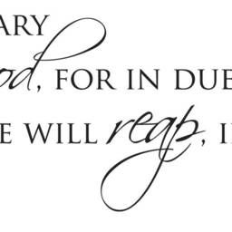"Vinyl Wall Art Decal - Galatians 69 ""Let Us Not Grow Weary Of Doing Good, For in Due Season We Will Reap, If Do Give Up." - thumbnail 2