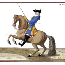 Horse Dressage Wall Art Print Ballet School Decor - thumbnail 2