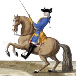 Horse Dressage Wall Art Print Ballet School Decor - thumbnail 3