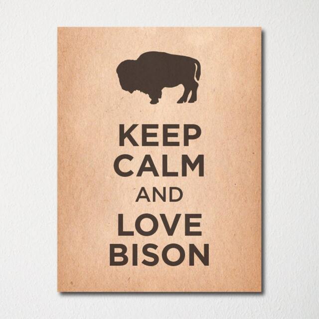 Keep Calm & Love Bison - Fine Art Print Choice Of Color Purchase 3 Receive 1 Free Custom Prints Available - image 1
