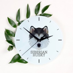 A Clock With A Siberian Husky Dog. New Collection The Geometric Dog - thumbnail 1