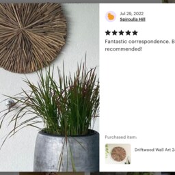 Driftwood Wall Art 24 Inch/60 cm, Round Decor, Shamrock, Decoration, New Home Minimalist Art, Gift Idea - thumbnail 4